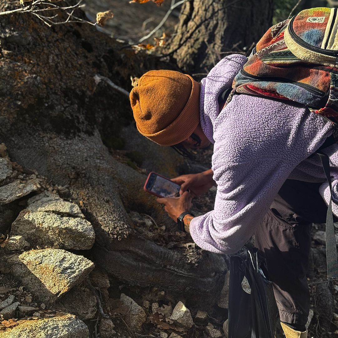 Photo of me on a hike taking photos of moss on a tree.
